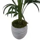 Cala Llonga flowers  -  Green Fusion Flower Bouquet/Arrangement