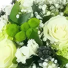 Бас-Пуэнт цветы- Гренобль зелено-белый круглый букет Цветочный букет/композиция
