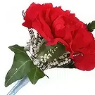 Cabo Balanco blommor- Nejlika knapphål Bukett/blomsterarrangemang