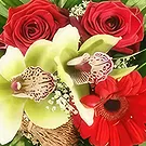 بائع زهور بلسا- البهجة باقة الزهور