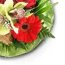 بائع زهور بلسا- البهجة باقة الزهور