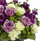 Macuilacatl Chico flowers  -  Eligant Beauty  Flower Bouquet/Arrangement