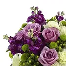 Macuilacatl Chico flowers  -  Eligant Beauty  Flower Bouquet/Arrangement