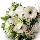 Chile flowers  -  White Field Flowers Bouquet Flower Bouquet/Arrangement