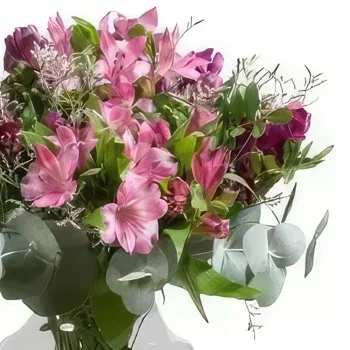 بائع زهور توريمولينوس- صداقة باقة الزهور