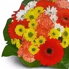 Wroclaw flowers  -  Fresh Bouquet Flower Bouquet/Arrangement