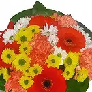 Wroclaw flowers  -  Fresh Bouquet Flower Bouquet/Arrangement