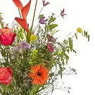 Denmark flowers  -  Get well soon Flower Bouquet/Arrangement