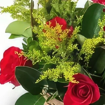 بائع زهور ريسيفي- سلة مع 9 ورود حمراء وأوراق الشجر باقة الزهور