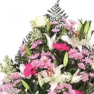 Cala Llonga flowers  -  Pink Elegance Bouquet Flower Bouquet/Arrangement