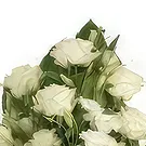 Ajtos Blumen Florist- Herzliche Abschiedsblumen Bouquet/Blumenschmuck