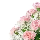 Ajtos Blumen Florist- Herzliche Gefühle Bouquet/Blumenschmuck