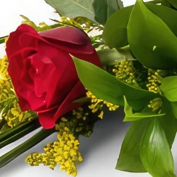 fiorista fiori di Recife- Rosa solitaria rossa e orsacchiotto Bouquet floreale
