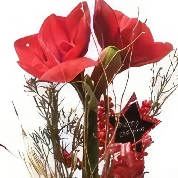 Madrid kukat- Perus punainen Kukka kukkakimppu
