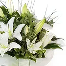 Olympia flowers  -  A New Day Flower Bouquet/Arrangement