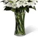 Tenextipa flowers  -  Peace Flower Bouquet/Arrangement