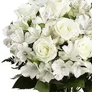 Tenextipa flowers  -  Peace Flower Bouquet/Arrangement