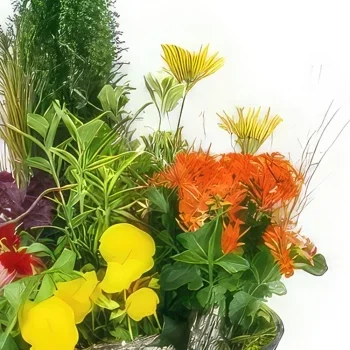 flores Nantes floristeria -  Corte de planta de luto Helianthus Ramo de flores/arreglo floral