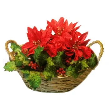  flowers  -  Composition of Red Poinsettias Flower Delivery