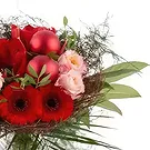 Dresden blomster- Hellige Natt Blomsterarrangementer bukett
