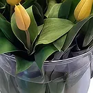 Cala Llonga flowers  -  Ice Cube Arrangement Flower Bouquet/Arrangement
