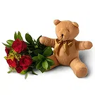 flores de Uberlândia- Buquê de 6 Rosas Vermelhas e Ursinho de Pelúc Bouquet/arranjo de flor