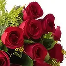 fleuriste fleurs de Pracuuba- Bouquet traditionnel de 17 roses rouges Bouquet/Arrangement floral