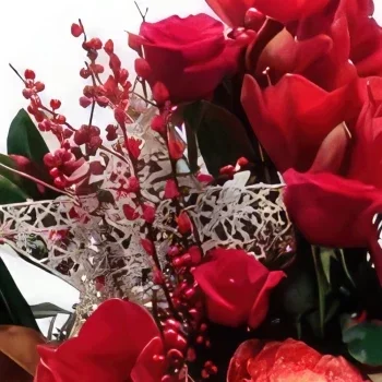 מדריד פרחים- אילקס פנטזיה זר פרחים/סידור פרחים