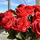 Merkholtz flowers  -  Imperial Red Roses Flower Bouquet/Arrangement