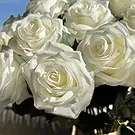 Halta blomster- Imperial hvite roser Blomsterarrangementer bukett