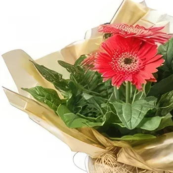 Σαλβαντόρ λουλούδια- Φυτεύτηκε Gerberas Μπουκέτο/ρύθμιση λουλουδιών