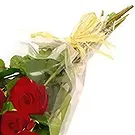 Macuilacatl Chico flowers  -  Classic romance Flower Bouquet/Arrangement