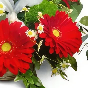 Cascais λουλούδια- Φτιαγμένο στο Παρακαλώ Μπουκέτο/ρύθμιση λουλουδιών