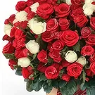 Cung Kiệm flowers  -  Love and Warmth Flower Bouquet/Arrangement