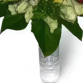 Гданск цветя- Зелено и червено Букет/договореност цвете