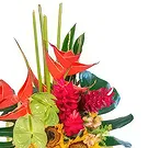 San Jose Santiago flowers  -  Tropical night Flower Bouquet/Arrangement