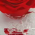 Ibiza flowers  -  Floral Jewel Flower Bouquet/Arrangement