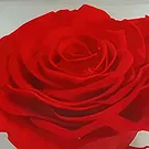 Ibiza flowers  -  Floral Jewel Flower Bouquet/Arrangement