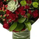 Kovin flowers  -  Joy of Chrismtas Flower Bouquet/Arrangement