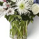 Garhoud flowers  -  Joyful Flowers Flower Bouquet/Arrangement