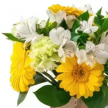 포르 탈 레자 꽃- 노란색과 흰색 거베라스와 아스트로멜리아의 배열 꽃다발/꽃꽂이