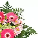 San Jose Santiago flowers  -  Pink sparkle Flower Bouquet/Arrangement