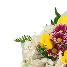 بائع زهور Batanovci- باقة الدلالة باقة الزهور