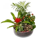 Cala Llonga flowers  -  Vivid Verdure  Flower Bouquet/Arrangement