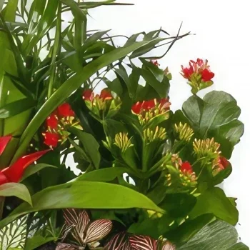מדריד פרחים- Vivid Verdure זר פרחים/סידור פרחים