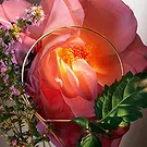 Italy flowers  -  Lancôme – Hot As Rose Eau de Parfum Flower Bouquet/Arrangement