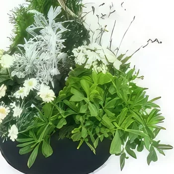 بائع زهور نانت- تجميع كبير لنباتات الكالوم البيضاء باقة الزهور