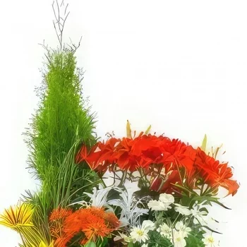 Montpellier Blumen Florist- Große Schale mit grünen und blühenden Solis-P Bouquet/Blumenschmuck