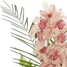 Smederevska Palanka flowers  -  Cymbidium Orchid Bouquet Flower Bouquet/Arrangement