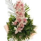 Smederevska Palanka flowers  -  Cymbidium Orchid Bouquet Flower Bouquet/Arrangement